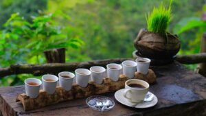 bali-coffee-plantation1-1600x900