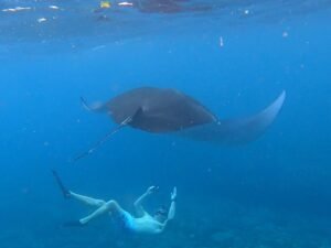 snorkeling nusa penida 13_0011_2022-07-15