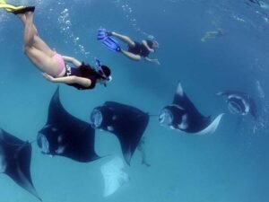 snorkeling nusa penida 13_0028_Background
