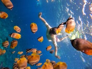 snorkeling nusa penida _0003_GPTempDownload (3)