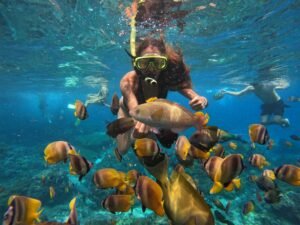 snorkeling nusa penida _0010_GPTempDownload (10)